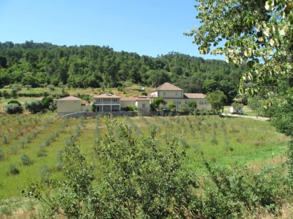 Luxury 6 bed villa with separate 3 bed apartment for sale in Santiago de Besteiros Tondela Portugal